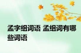 孟字组词语 孟组词有哪些词语 