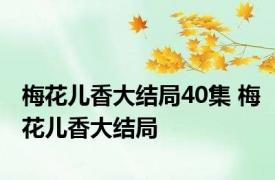 梅花儿香大结局40集 梅花儿香大结局
