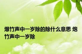 爆竹声中一岁除的除什么意思 炮竹声中一岁除 