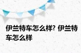伊兰特车怎么样? 伊兰特车怎么样 