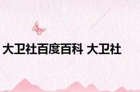 大卫社百度百科 大卫社 