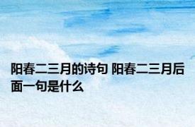 阳春二三月的诗句 阳春二三月后面一句是什么