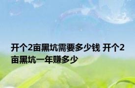 开个2亩黑坑需要多少钱 开个2亩黑坑一年赚多少 