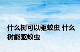 什么树可以驱蚊虫 什么树能驱蚊虫
