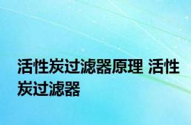 活性炭过滤器原理 活性炭过滤器 