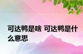 可达鸭是啥 可达鸭是什么意思 
