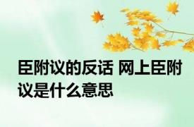 臣附议的反话 网上臣附议是什么意思