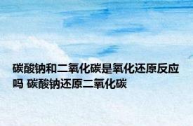碳酸钠和二氧化碳是氧化还原反应吗 碳酸钠还原二氧化碳 