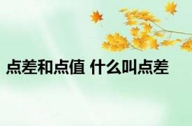 点差和点值 什么叫点差