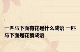 一匹马下面有花是什么成语 一匹马下面是花猜成语 