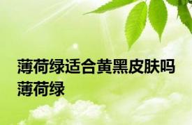 薄荷绿适合黄黑皮肤吗 薄荷绿 