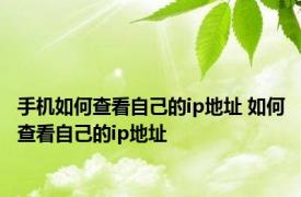 手机如何查看自己的ip地址 如何查看自己的ip地址