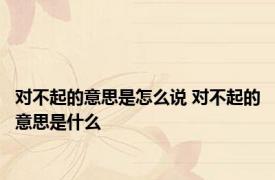 对不起的意思是怎么说 对不起的意思是什么