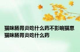 猫咪肠胃炎吃什么药不影响猫崽 猫咪肠胃炎吃什么药 