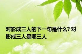 对影成三人的下一句是什么? 对影成三人是哪三人