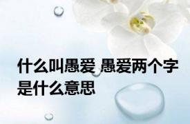 什么叫愚爱 愚爱两个字是什么意思