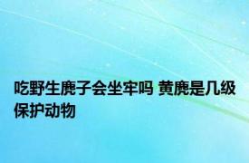 吃野生麂子会坐牢吗 黄麂是几级保护动物 