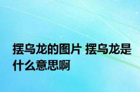 摆乌龙的图片 摆乌龙是什么意思啊