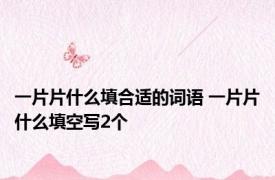 一片片什么填合适的词语 一片片什么填空写2个