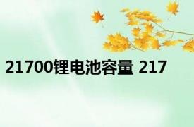 21700锂电池容量 217 