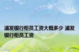 浦发银行柜员工资大概多少 浦发银行柜员工资 