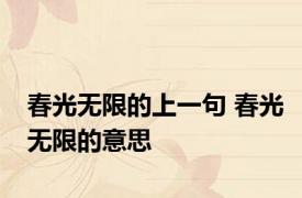 春光无限的上一句 春光无限的意思
