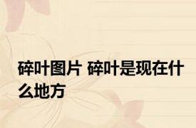 碎叶图片 碎叶是现在什么地方