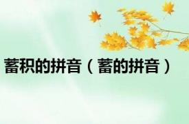 蓄积的拼音（蓄的拼音）