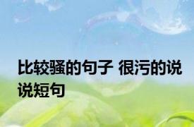 比较骚的句子 很污的说说短句