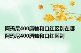 阿玛尼400唇釉和口红区别在哪 阿玛尼400唇釉和口红区别