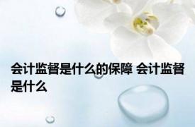 会计监督是什么的保障 会计监督是什么