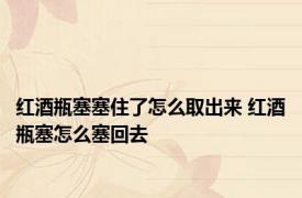 红酒瓶塞塞住了怎么取出来 红酒瓶塞怎么塞回去