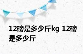 12磅是多少斤kg 12磅是多少斤