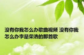 没有你我怎么办歌曲视频 没有你我怎么办李是荣浩的那首歌