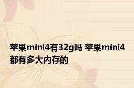 苹果mini4有32g吗 苹果mini4都有多大内存的