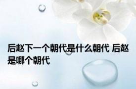 后赵下一个朝代是什么朝代 后赵是哪个朝代