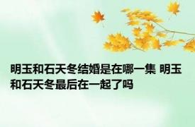明玉和石天冬结婚是在哪一集 明玉和石天冬最后在一起了吗