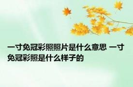 一寸免冠彩照照片是什么意思 一寸免冠彩照是什么样子的