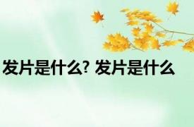 发片是什么? 发片是什么