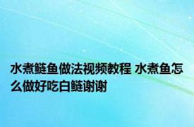 水煮鲢鱼做法视频教程 水煮鱼怎么做好吃白鲢谢谢