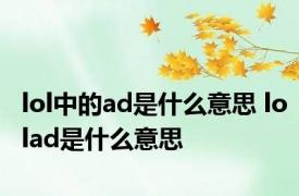 lol中的ad是什么意思 lolad是什么意思