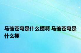 马破苍穹是什么梗啊 马破苍穹是什么梗
