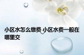 小区水怎么缴费 小区水费一般在哪里交