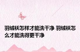 羽绒袄怎样才能洗干净 羽绒袄怎么才能洗得更干净