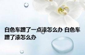 白色车蹭了一点漆怎么办 白色车蹭了漆怎么办