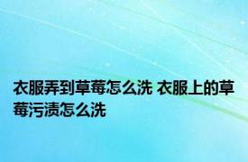 衣服弄到草莓怎么洗 衣服上的草莓污渍怎么洗