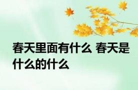 春天里面有什么 春天是什么的什么