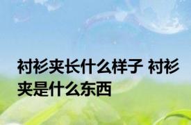 衬衫夹长什么样子 衬衫夹是什么东西