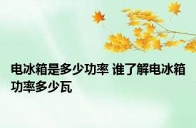电冰箱是多少功率 谁了解电冰箱功率多少瓦
