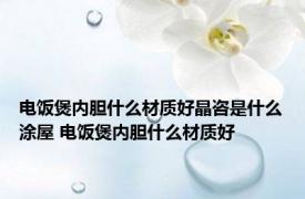 电饭煲内胆什么材质好晶咨是什么涂屋 电饭煲内胆什么材质好